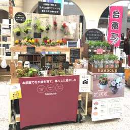 東京アトレ販売（花活布）