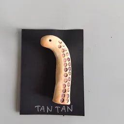 TANTAN4